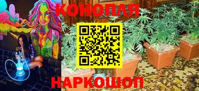 марихуана Малгобек