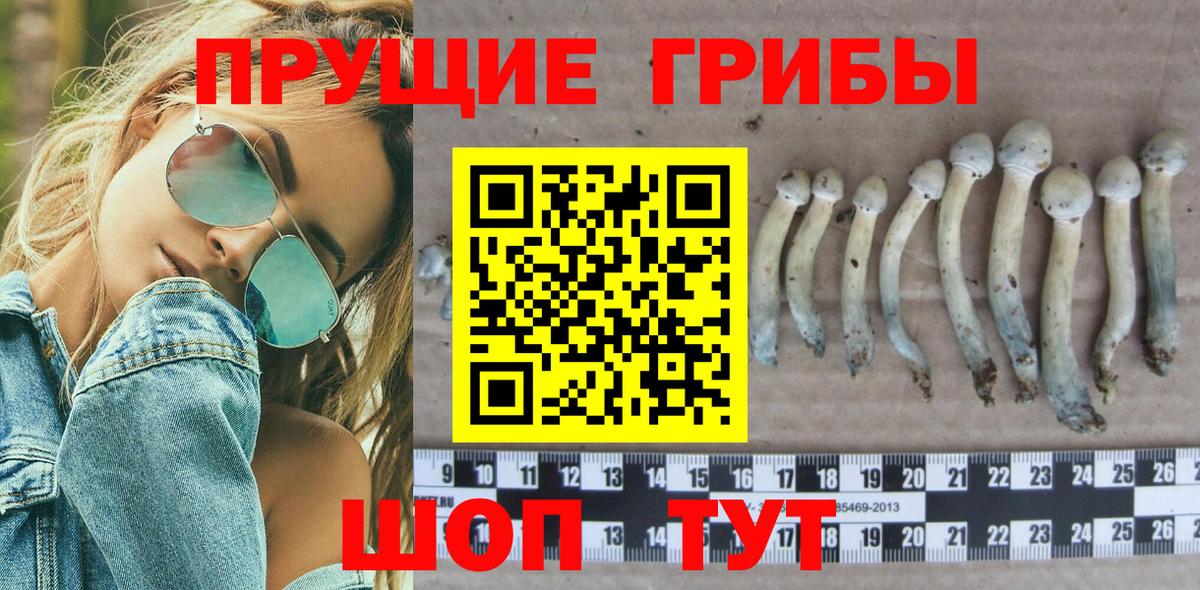 купить наркотики сайты  Вход с VPN  Псилоцибиновые грибы Cubensis  Воронеж  Псилоцибиновые грибы прущие грибы 